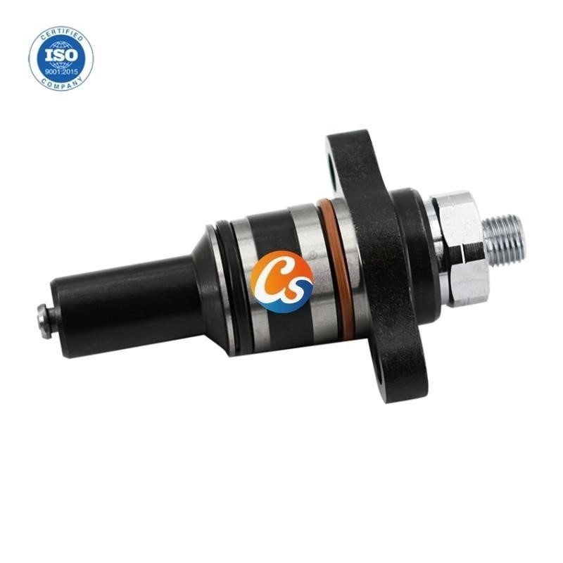 High Quality Diesel fuel plunger assembly PN plunger F 019 D03 313 injector pump parts wholesale
